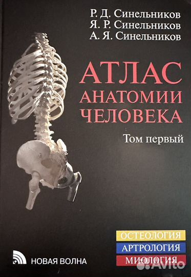 Атлас анатомии человека