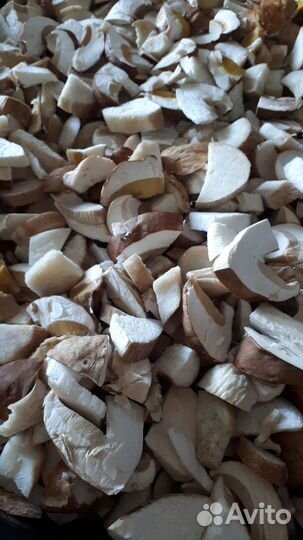Замороженный белый гриб и лисички