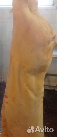 Мясо свинина