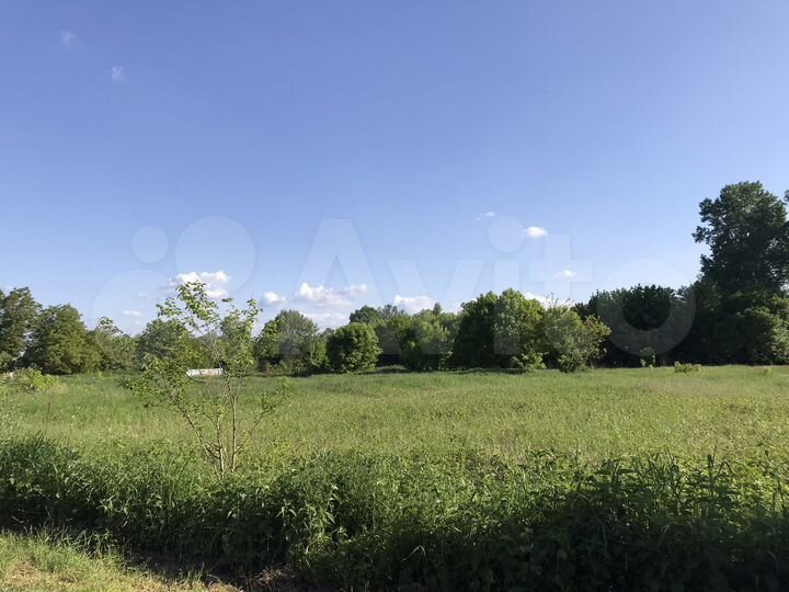 Участок 64 сот. (ИЖС)