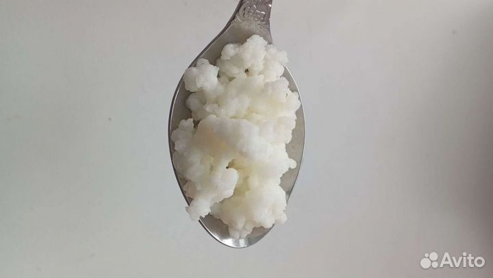 Тибетский молочный гриб/Чайный гриб