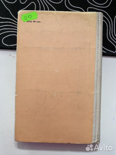 Пушкин евгений онегин