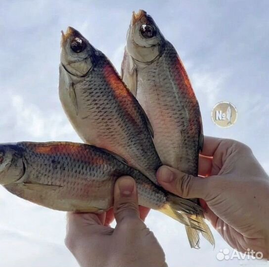 Вобла вяленая из Астрахани