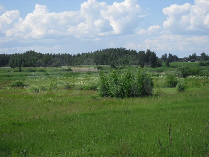 Участок 4,36 га (ИЖС)