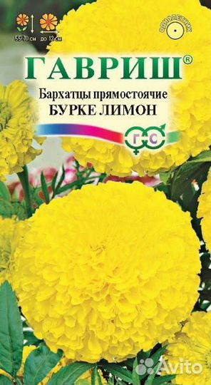 Бархатцы прямостоячие Гавриш Бурке лимон 0,3г