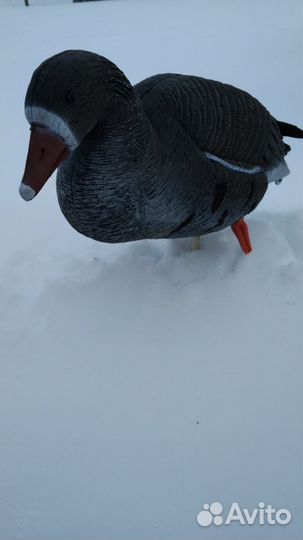 Чучела белолобого гуся Sport Plast DLX940+баул