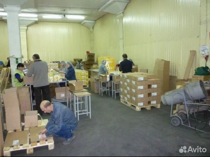 Разнорабочий на мебельную с еженедельной оплатой