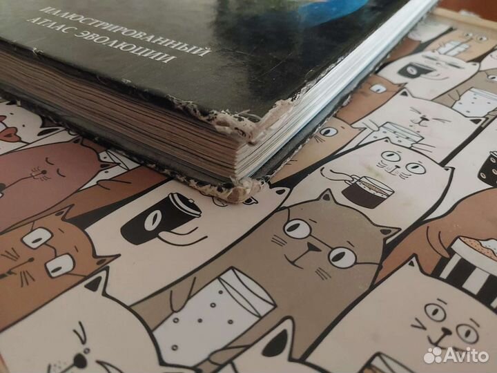 Книга Энциклопедия Удивительная планета земля