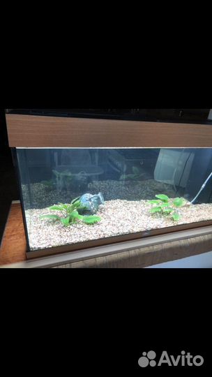 Аквариум фирменный jawel RIO-180