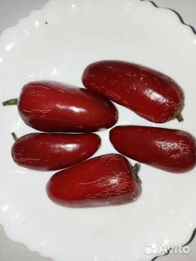 Семена острого перца Халапенью блек