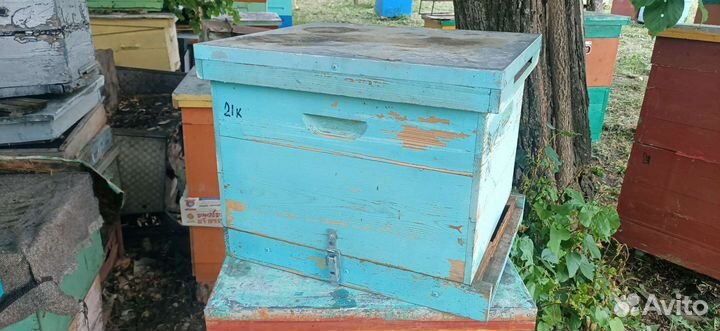 Улей деревянный 10 рамочные