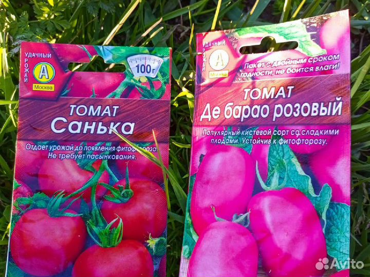 Рассада помидор огурцов перцев