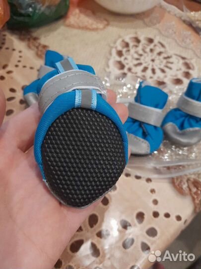 Ботинки для собак 