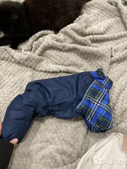 Одежда для маленьких собак