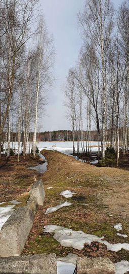 Участок 15 сот. (СНТ, ДНП)