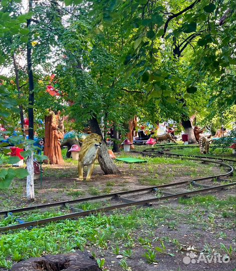 Сафари (новый дизайн) семейный аттракцион