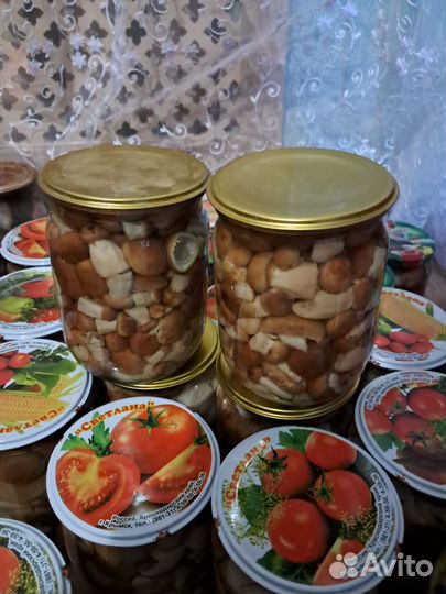 Грибы маринованные