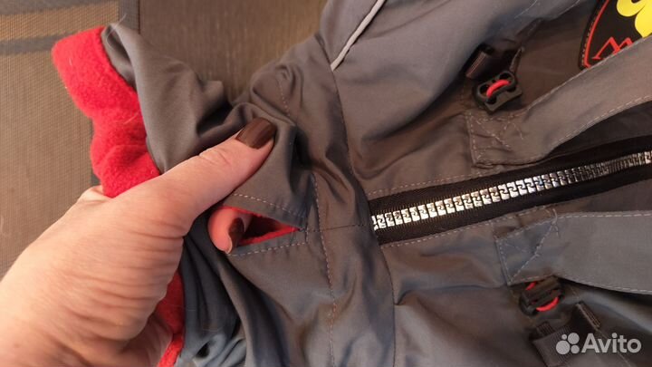 Комбинезон для собаки девочки джек рассел