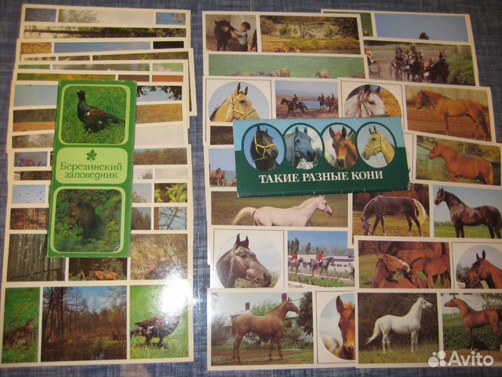 Наборы открыток