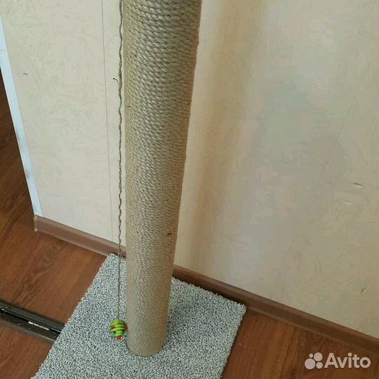 Когтеточка