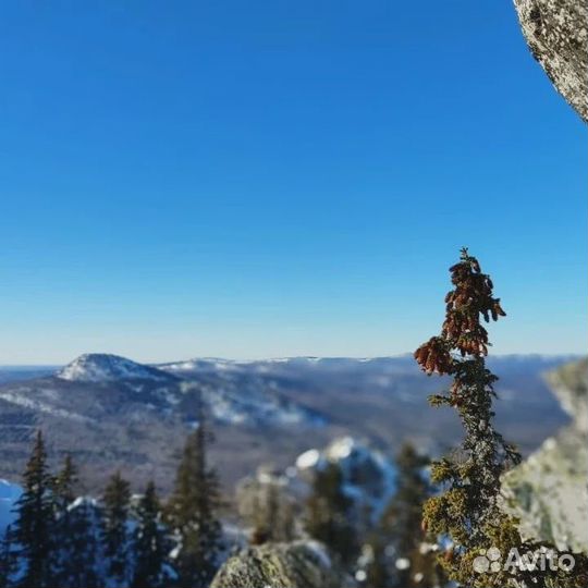 Тур в южную Башкирию - Малиновая + Ялангас