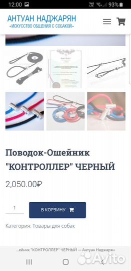 Поводок контроллер Антуана Наджаряна