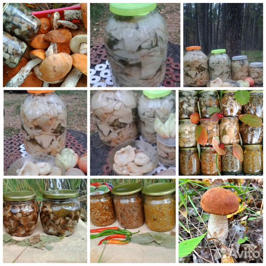 Грибы маринованные