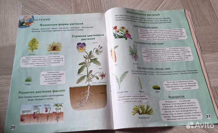Атлас окружающий мир 1-4 класс природа и человек