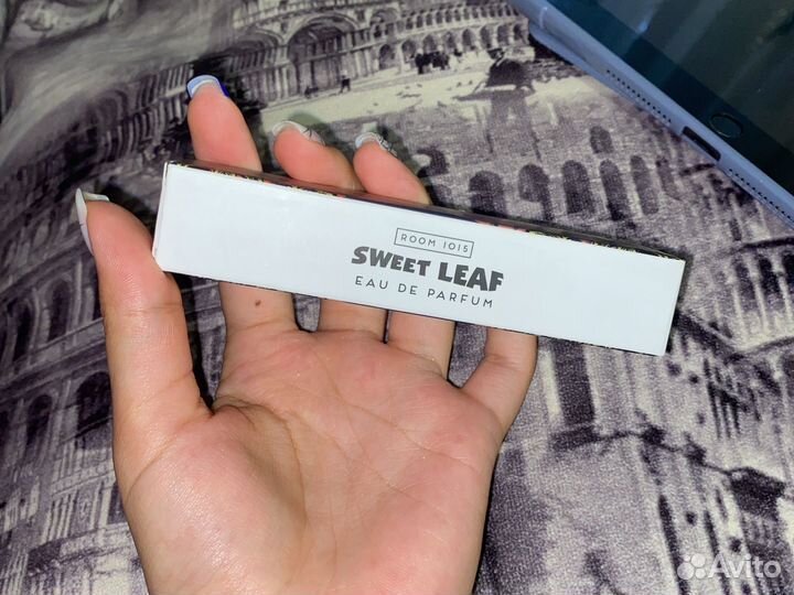 Room 1015 sweet leaf