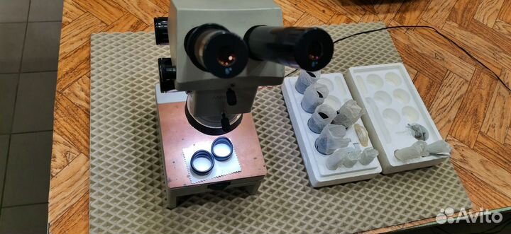 Микроскоп мбс 10