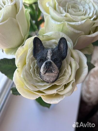 Броши выставочные