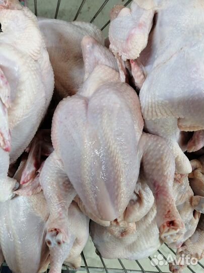 Домашние тушки цыпленка бройлера