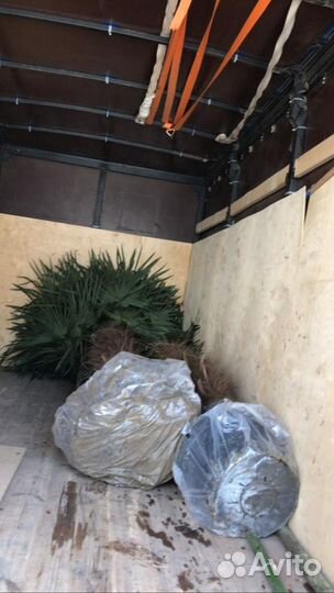 Грузоперевозки межгород с оплатой в одну сторону