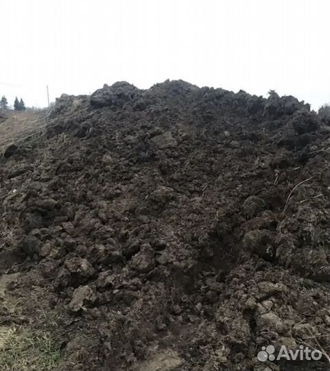 Навоз перегной с доставкой
