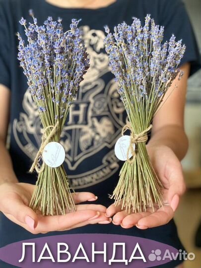 Букет лаванды