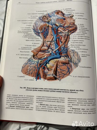 Атлас по анатомии синельников 3 том 2021