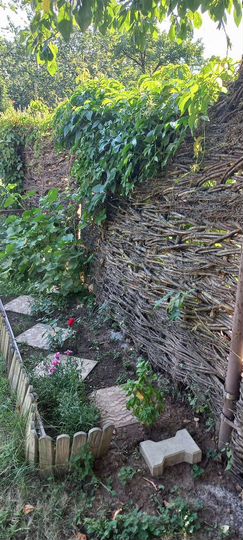 Дача 40 м² на участке 6 сот.