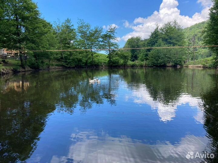 Рыбалка, баня, беседки, база отдыха