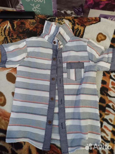 Рубашки для мальчика