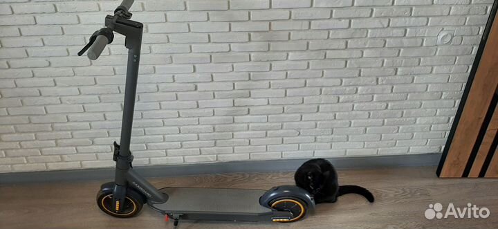 Электросамокат zaxboard es-10 max