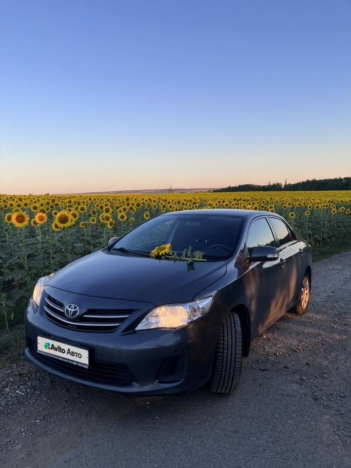Toyota Corolla: фото владельца