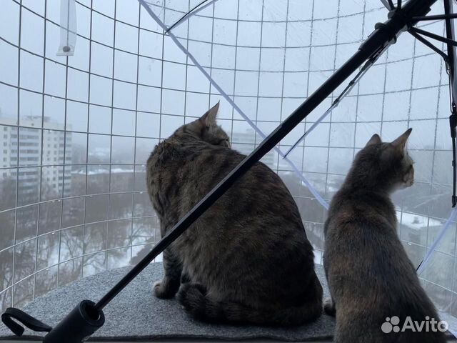 Балкон для кошек на окно «Васька» объявление продам