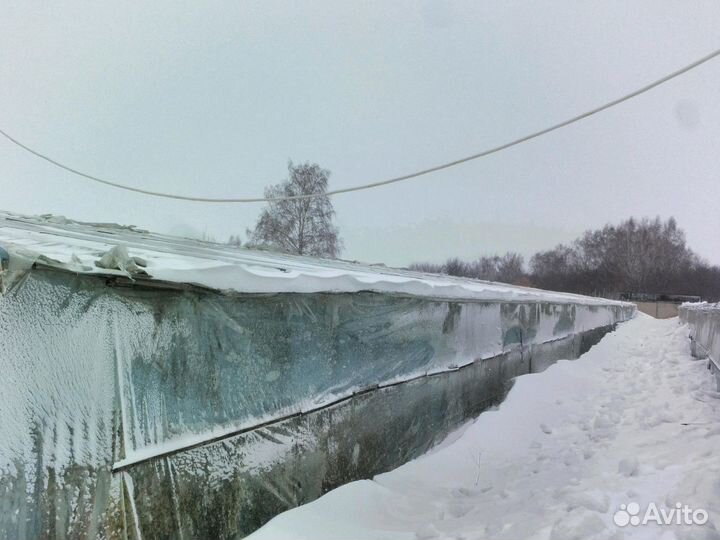 Тепличный комплекс+фермерское хозяйство 8 га