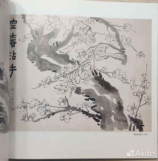 Книга по китайской живописи