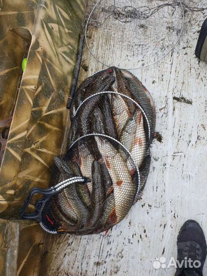 Охота и рыбалка