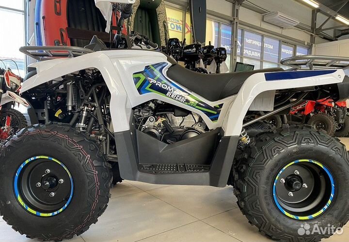 Квадроцикл promax renegade 300 winch