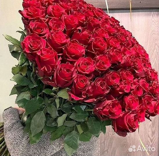 Высокие розы Гигантские розы Доставка цветов