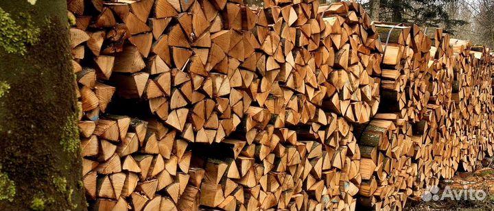 Дрова сухие