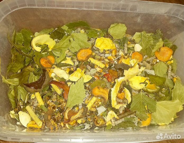 Корм для декоративных крыс и сирийских хомяков