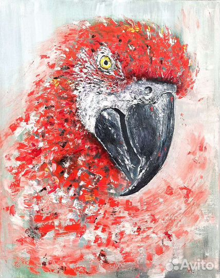 Картина маслом Попугай